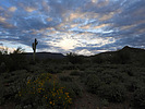 photo thumbnail #1