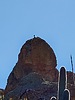 photo thumbnail #13