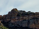 recent photo