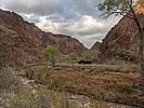 photo thumbnail #7