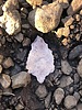 photo thumbnail #1