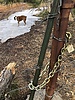 photo thumbnail #2