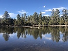 photo thumbnail #4