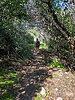 photo thumbnail #10