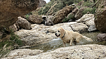 photo thumbnail #7