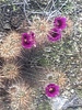 photo thumbnail #7