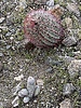 photo thumbnail #14