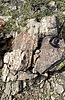 photo thumbnail #15