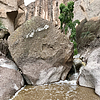 photo thumbnail #7