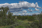 photo thumbnail #5