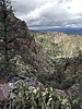 photo thumbnail #8