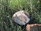 photo thumbnail #2