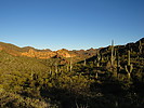 photo thumbnail #4