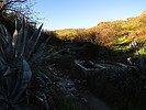 photo thumbnail #5