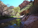 photo thumbnail #7