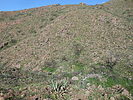 photo thumbnail #8