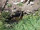 photo thumbnail #13