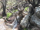 photo thumbnail #14
