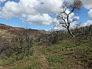 photo thumbnail #15