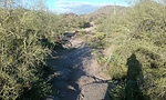 photo thumbnail #5