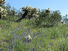 photo thumbnail #11