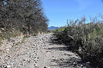 photo thumbnail #3