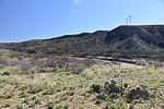 photo thumbnail #4