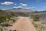 photo thumbnail #7