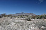 photo thumbnail #9