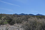 photo thumbnail #10