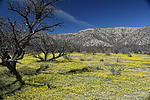 photo thumbnail #12