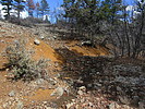 photo thumbnail #7