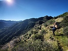 photo thumbnail #5