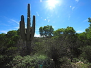 photo thumbnail #9