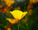 photo thumbnail #11