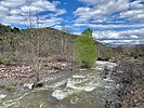 recent photo