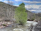photo thumbnail #4
