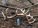 photo thumbnail #1