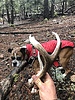 photo thumbnail #7