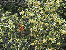 Featured Detail Photo