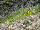 photo thumbnail #15