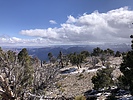 photo thumbnail #10