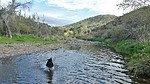 photo thumbnail #9