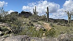 photo thumbnail #2