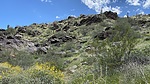 photo thumbnail #13