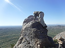 photo thumbnail #8