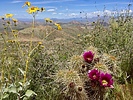 photo thumbnail #3
