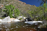 photo thumbnail #5