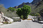 photo thumbnail #7