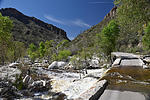 photo thumbnail #8